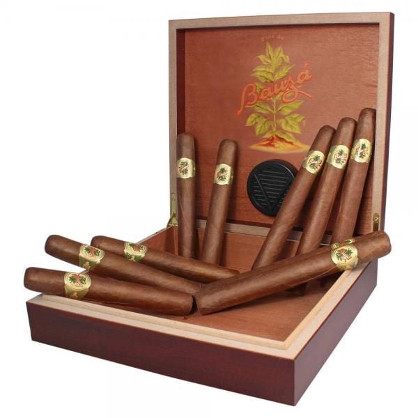 10 Bauza Cigars and Travel Humidor